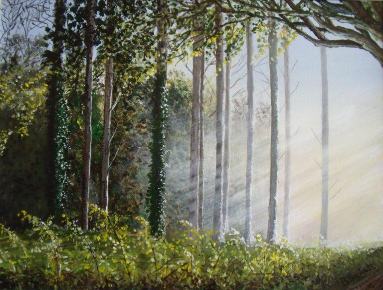 Forest Dawn